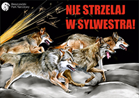 nie_strzelaj_w_sylwestra_2020_min.jpg