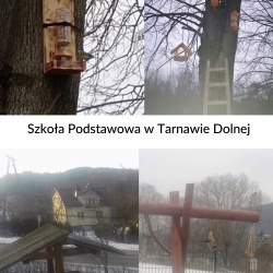 SP Tarnawa Dolna