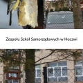 ZSS w Hoczwi