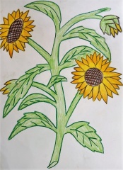 kwiaty wiosny SP2