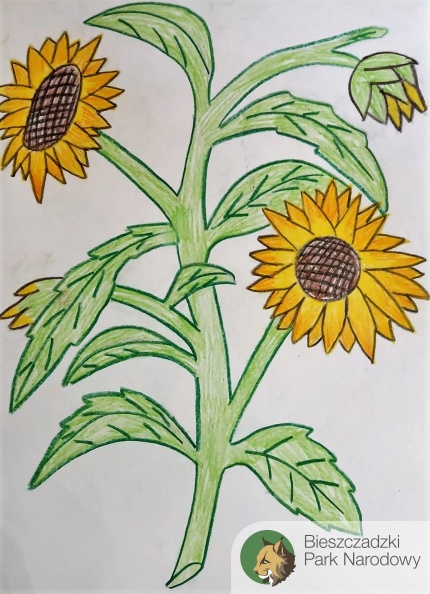 kwiaty wiosny SP2.jpg