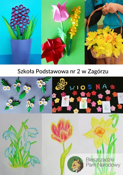 SP2 Zagórz.jpg
