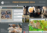 ferie-z-bdpn-2024_min.jpg